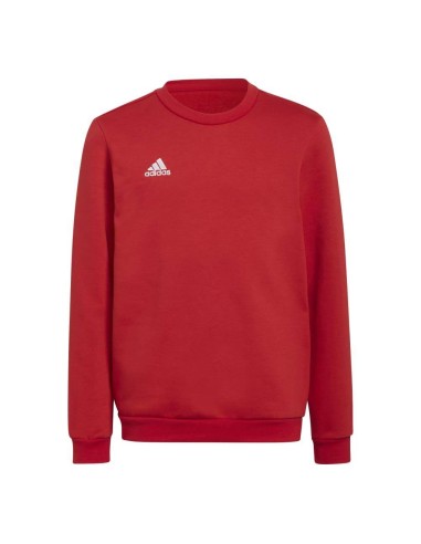 ADIDAS ENT22 SW TOPY  | Deriusport.it